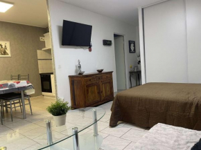 Studio Amélie-les-Bains-Palalda, 1 pièce, 2 personnes - FR-1-659-51